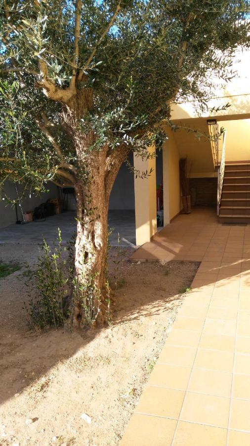 La Pallissa 9 Torroella De Montgri Ngoại thất bức ảnh